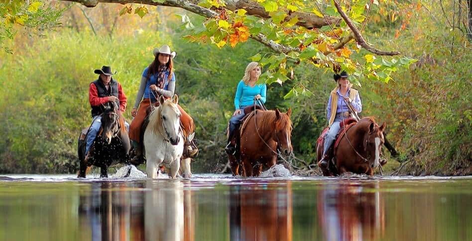 Horseback Riding at The Dillard House Stables